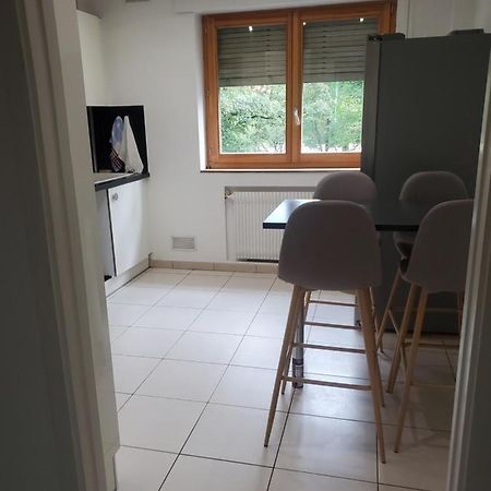 Appartement Meuble Aux Portes De Geneve Annemasse Zewnętrze zdjęcie