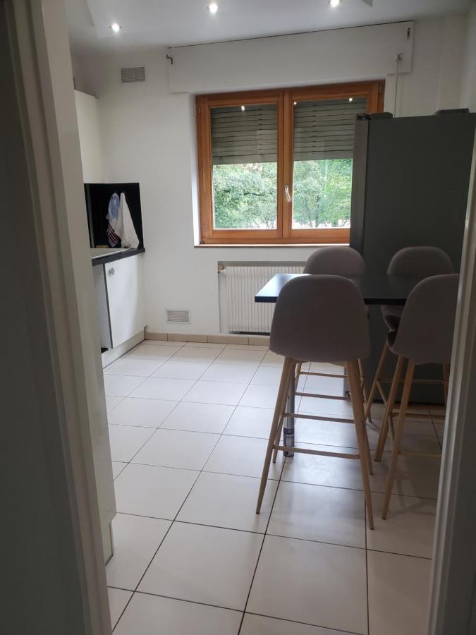 Appartement Meuble Aux Portes De Geneve Annemasse Zewnętrze zdjęcie